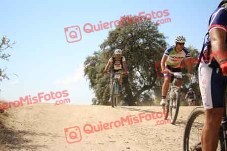 SERGIO GOMEZ AMORES Talajara 2015 28768