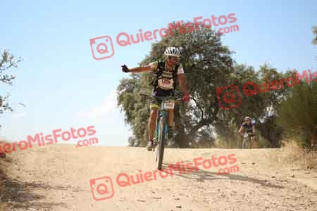 SERGIO GOMEZ AMORES Talajara 2015 28769