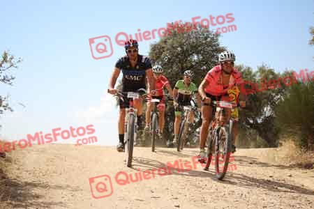 VALENTIN PINUAGA Talajara 2015 28805