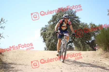 FRANCISCO JOSE LOPEZ MONTOYA Talajara 2015 28827