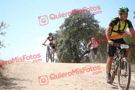VICENTE SALCEDO NUEVO Talajara 2015 28907