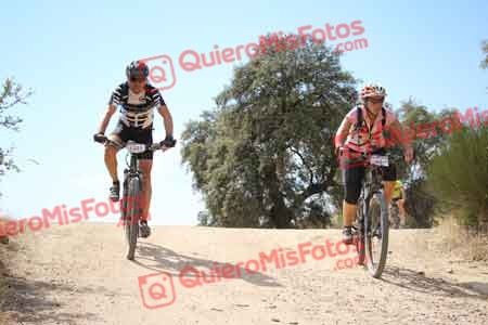 VICENTE SALCEDO NUEVO Talajara 2015 28908