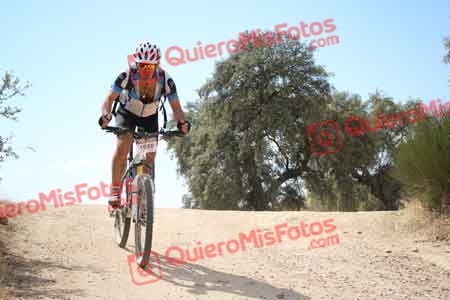 GUSTAVO GONZALEZ GARCIA Talajara 2015 29006
