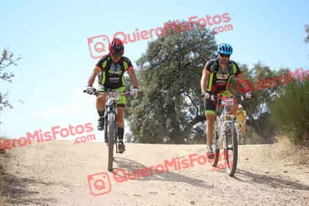 FRANCISCO PRIETO MARTIN Talajara 2015 29036