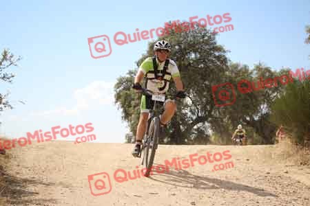 JOSE LUIS CABANILLAS SANCHEZ Talajara 2015 29043