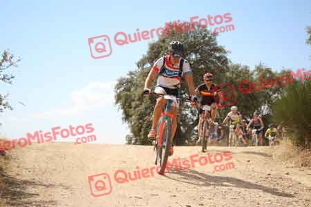 ISMAEL GIL REAL Talajara 2015 29062
