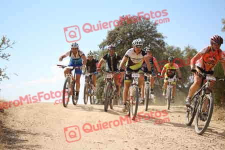 JOSE LUIS VICARIO GOMEZ Talajara 2015 29064