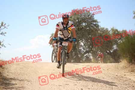 SERGIO DE ANGEL LARRINAGA Talajara 2015 29093