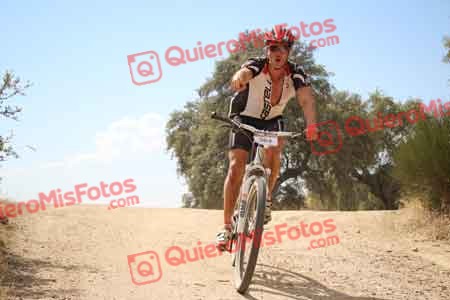 MIGUEL ANGEL MARTINEZ FERNANDEZ Talajara 2015 29141