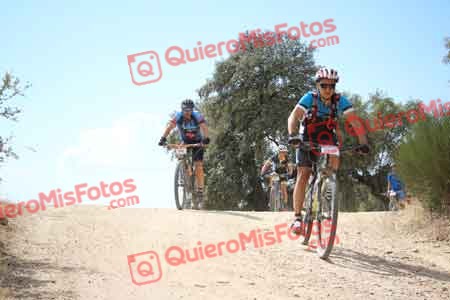 MIGUEL PASTRANA VILLA Talajara 2015 29220