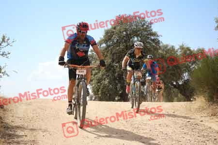 MIGUEL PASTRANA VILLA Talajara 2015 29223