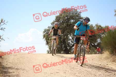 ENRIQUE MARTIN TERESA Talajara 2015 29282