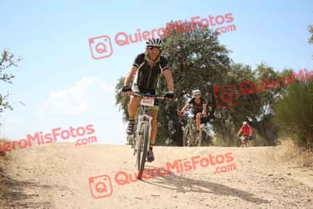 ENRIQUE MARTIN TERESA Talajara 2015 29284
