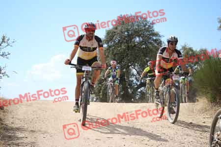 JOSE ANTONIO PRATS MAYORGA Talajara 2015 29305