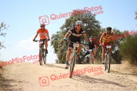 RAFAEL COSCOLLANO LOBO Talajara 2015 29312