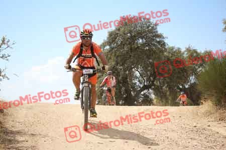 JAVIER MONTEALEGRE AGUADO Talajara 2015 29334