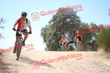 JUAN MANUEL ORTIZ GALLO Talajara 2015 29335
