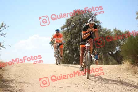 RAFAEL COSCOLLANO LOBO Talajara 2015 29337