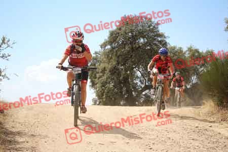 MERCEDES PEREZ RAMIREZ Talajara 2015 29379