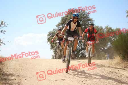 MIGUEL ARCONES VAQUERO Talajara 2015 29384