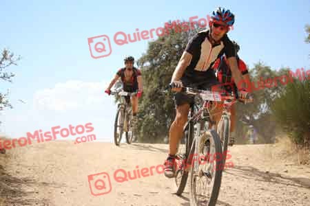 MIGUEL ARCONES VAQUERO Talajara 2015 29385