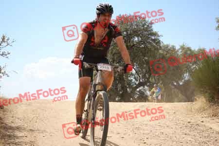 JESUS MASA BOTE Talajara 2015 29388