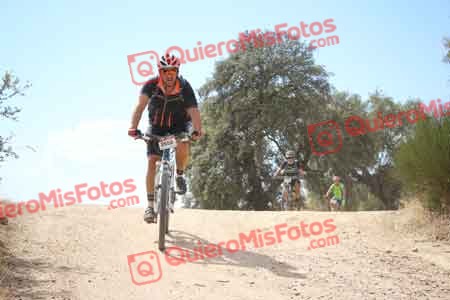PEDRO GALLARDO DIAGO Talajara 2015 29395