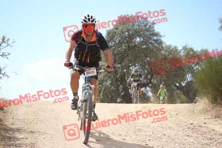 PEDRO GALLARDO DIAGO Talajara 2015 29396