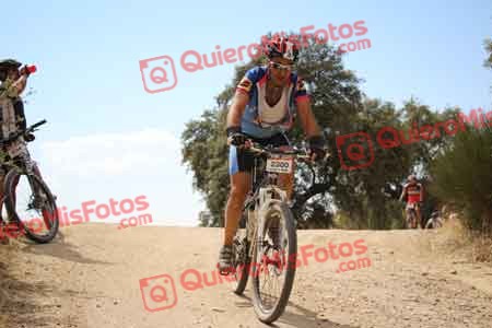 ILDEFONSO LOMINCHAR BENITEZ Talajara 2015 29430