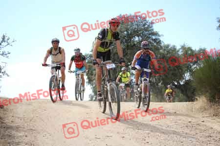 JOSE CASTELLON BUENO Talajara 2015 29542
