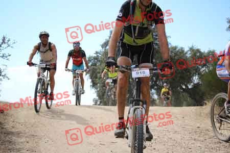 JOSE CASTELLON BUENO Talajara 2015 29545