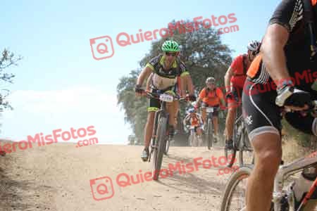 JUAN JOSE LARA CASADO Talajara 2015 29601
