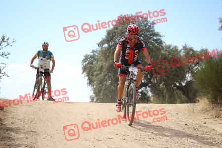 JESUS SAELICES NOVILLO Talajara 2015 29626