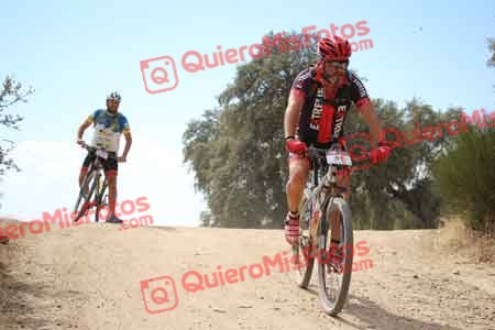 JESUS SAELICES NOVILLO Talajara 2015 29627