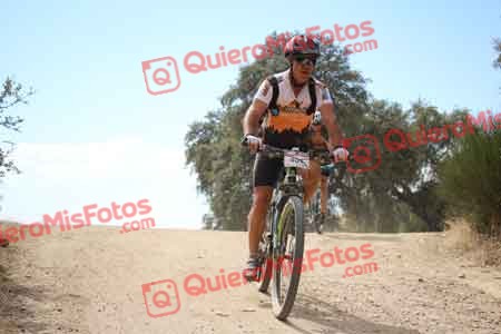 GERARDO MORENO MEDINA Talajara 2015 29644