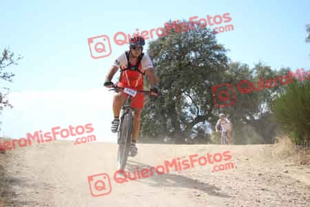 JESUS ABELLAN MARTINEZ Talajara 2015 29817