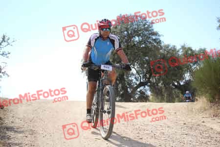 JULIAN AMOR GARCIA Talajara 2015 29903
