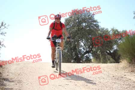 JOSE LUIS SANCHEZ SANCHEZ Talajara 2015 29942