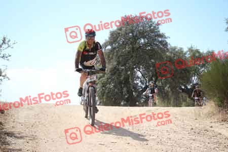 TOMAS MORA DE LA CAL Talajara 2015 29958