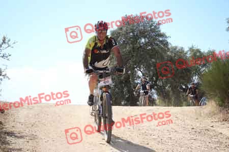 TOMAS MORA DE LA CAL Talajara 2015 29959