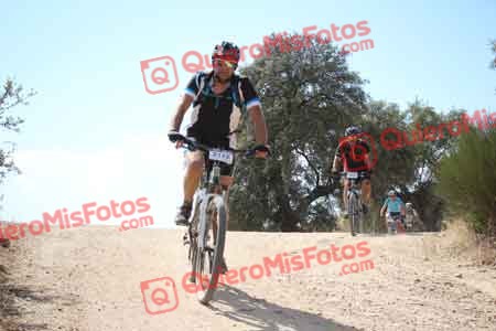 JUAN IGNACIO FERNANDEZ ALONSO Talajara 2015 29960