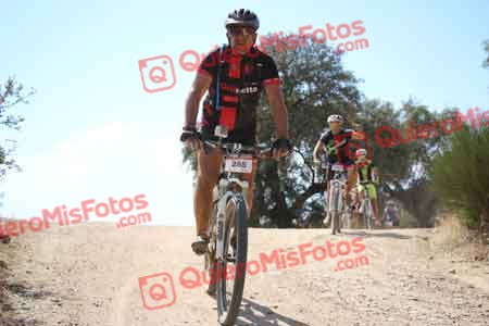 JOSE IGNACIO BELTRAN MONTIEL Talajara 2015 30211