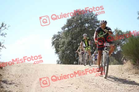 ROBERTO MORA RUBIO Talajara 2015 30212