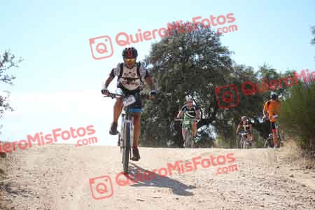PEDRO MARTIN TELLEZ Talajara 2015 30581