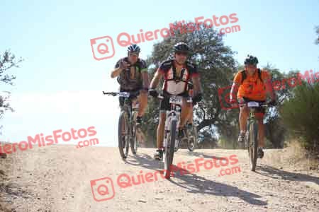 RICARDO FLORES DIEZ Talajara 2015 30587