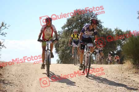 JESUS MELCHOR DEL PINO Talajara 2015 30596