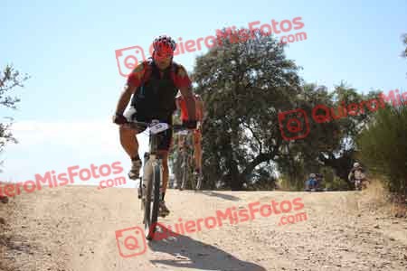 JOSE MARIA CARRILLO DIOS Talajara 2015 30651
