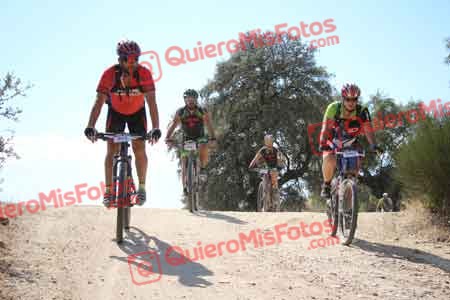 GUSTAVO ELEZ GONZALEZ Talajara 2015 30719