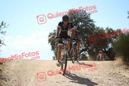 JOSE LUIS MARTOS MARTIN Talajara 2015 30927