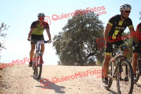 SERGIO SAEZ AYALA Talajara 2015 30954